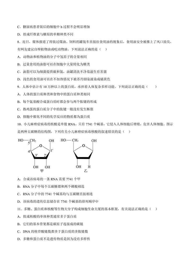 安徽省鼎尖教育2024～2025学年高一(上)期中生物(B)试卷(含答案)第3页