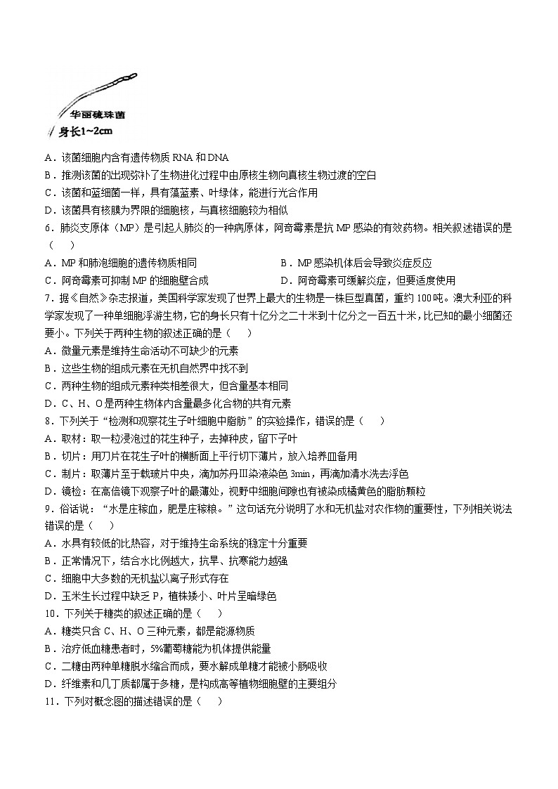 江苏省南通中学2024-2025学年高一上学期期中考试生物试题第2页
