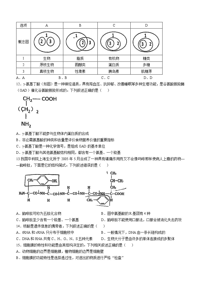 江苏省南通中学2024-2025学年高一上学期期中考试生物试题第3页