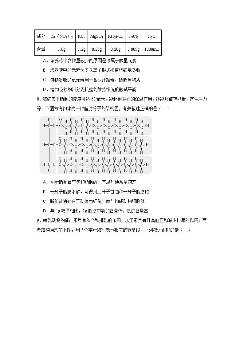 江西省上饶市婺源县文公中学2024-2025学年高一上学期11月生物学测试卷第3页