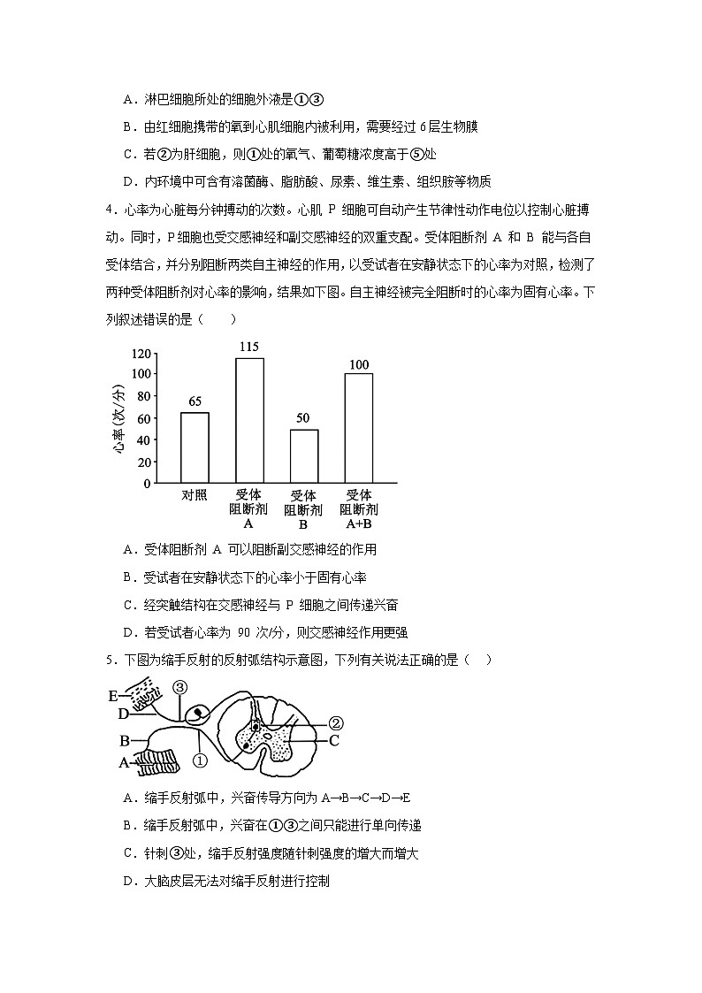 江西省上饶市婺源县文公中学2024-2025学年高二上学期11月考试生物试题第2页