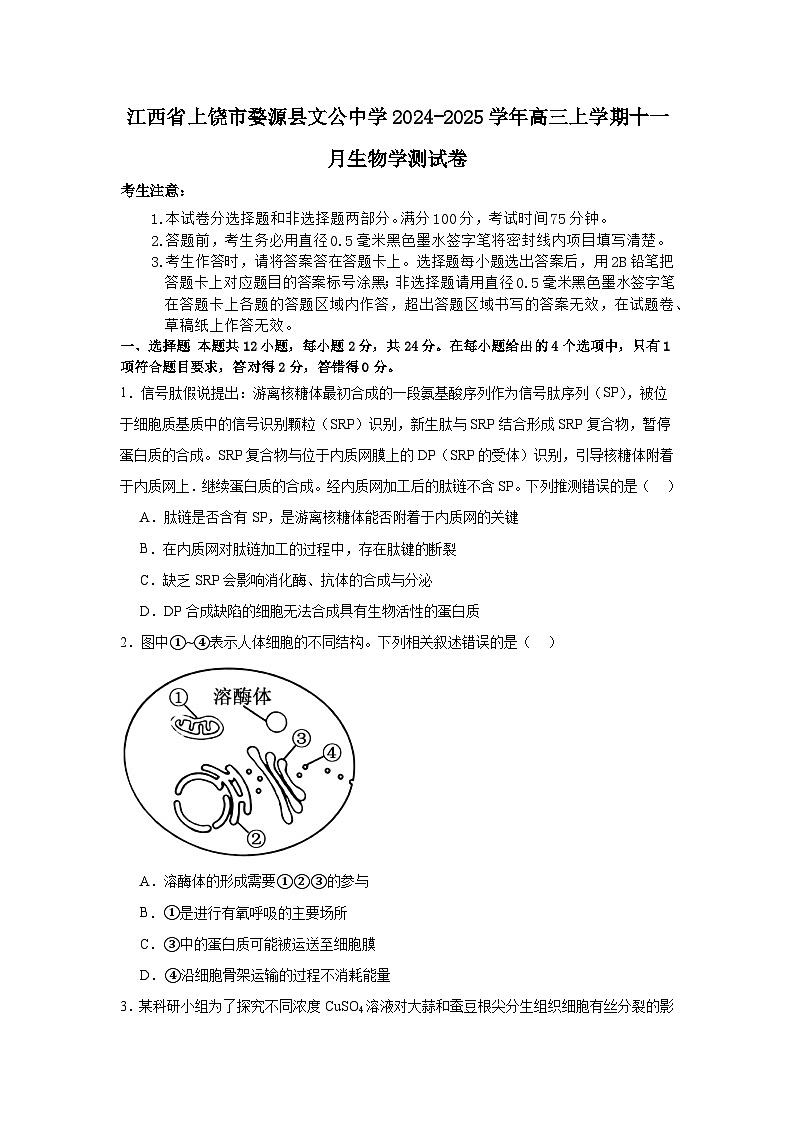 江西省上饶市婺源县文公中学2024-2025学年高三上学期11月生物学测试卷第1页