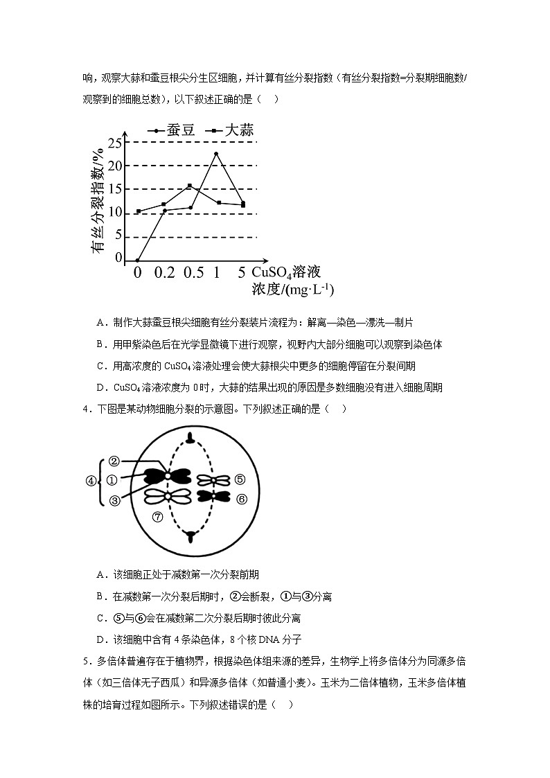 江西省上饶市婺源县文公中学2024-2025学年高三上学期11月生物学测试卷第2页