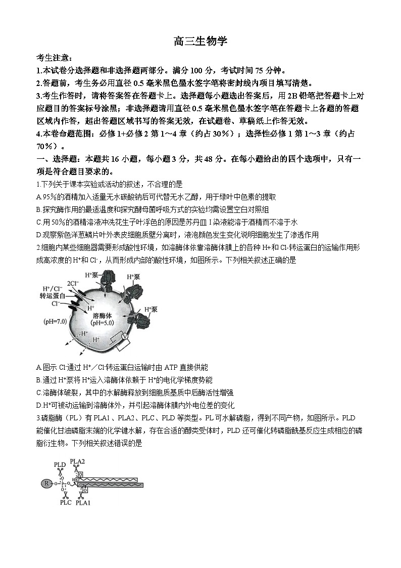 河南省创新发展联盟质量检测2024-2025学年高三上学期11月期中生物试题第1页