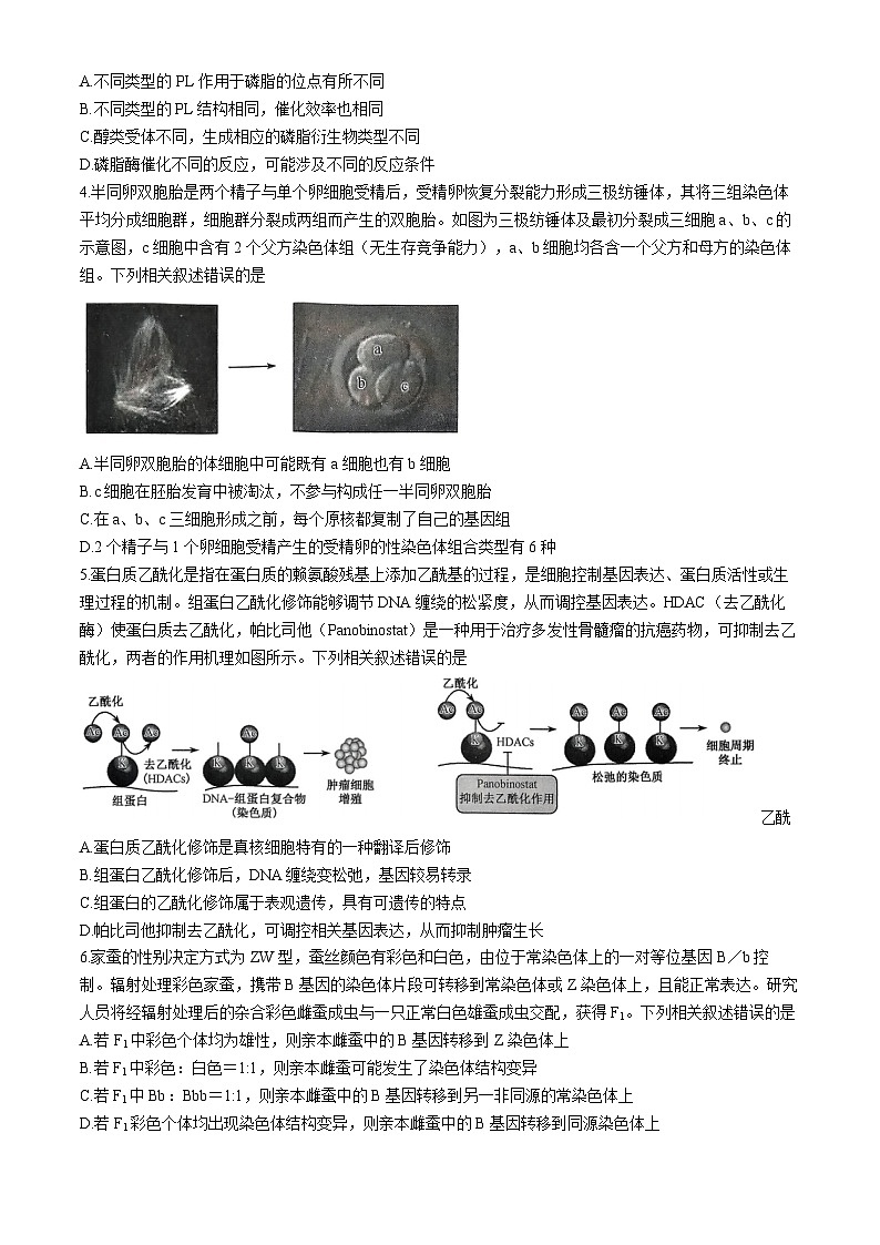 河南省创新发展联盟质量检测2024-2025学年高三上学期11月期中生物试题第2页