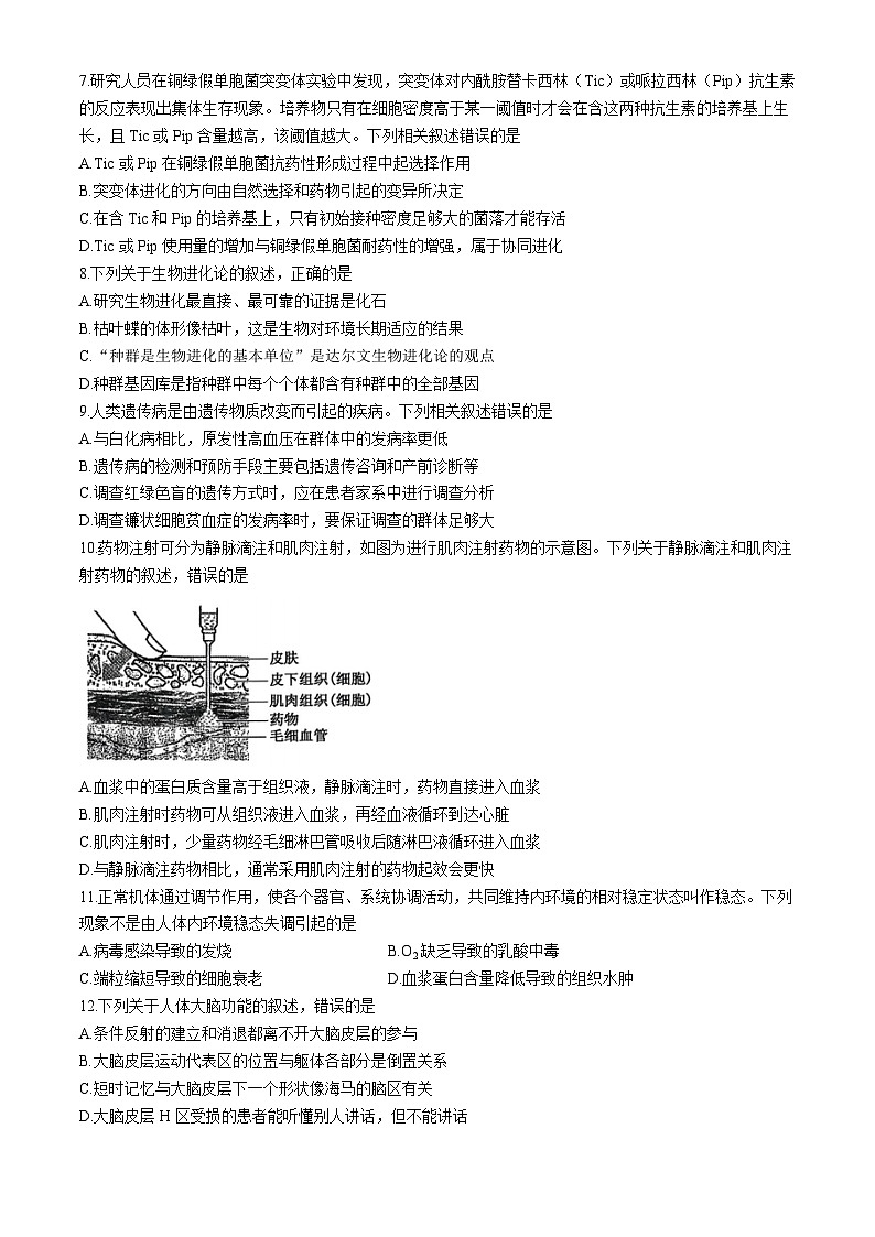 河南省创新发展联盟质量检测2024-2025学年高三上学期11月期中生物试题第3页