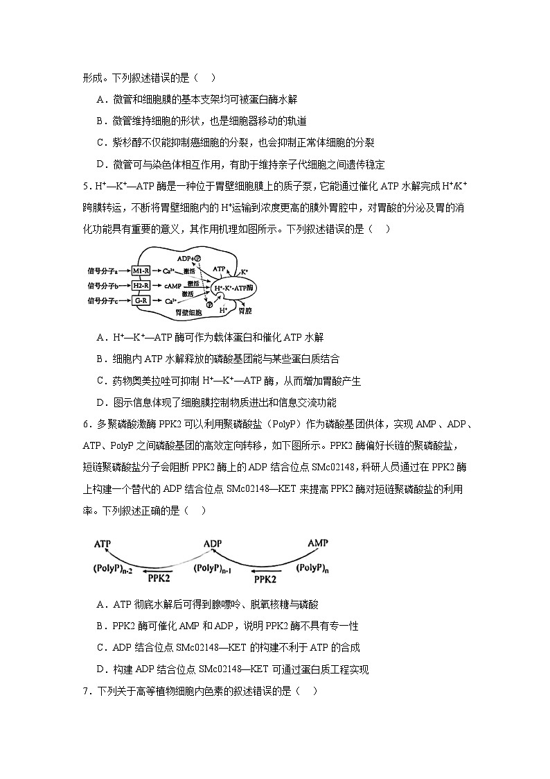 湖北省重点中学2025届高三上学期第一次联考生物试题第2页