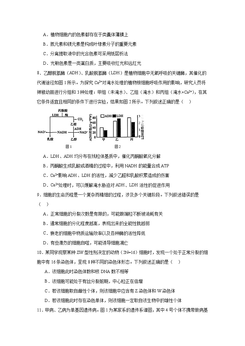 湖北省重点中学2025届高三上学期第一次联考生物试题第3页