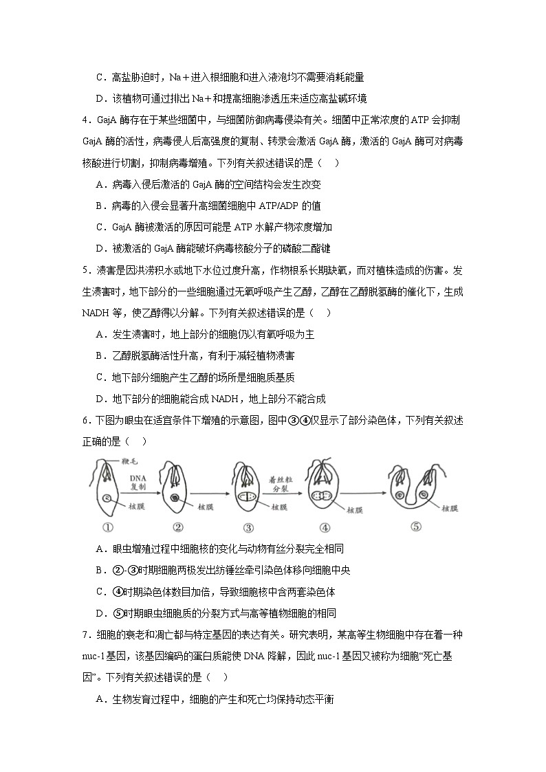 四川省泸州市2024-2025学年高三上学期第一次教学质量诊断性考试生物试题第2页