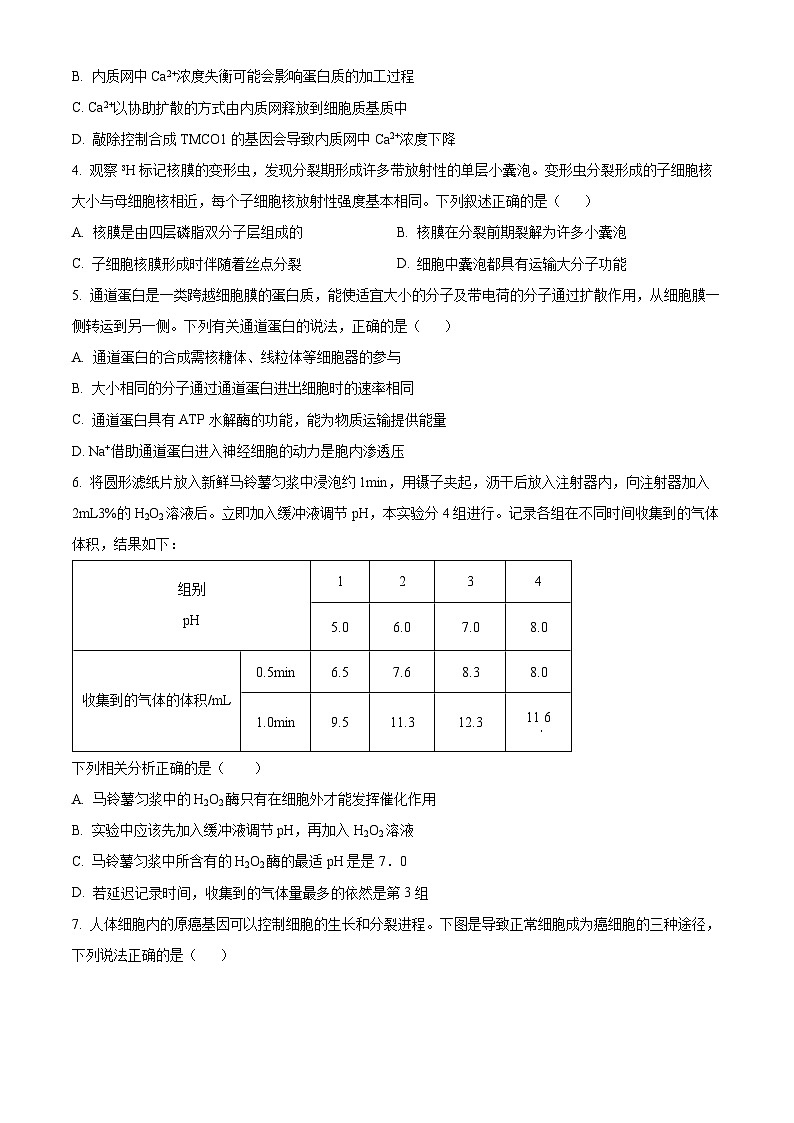 陕西省十七校联考2024-2025学年高三上学期11月期中生物试题  Word版无答案第2页