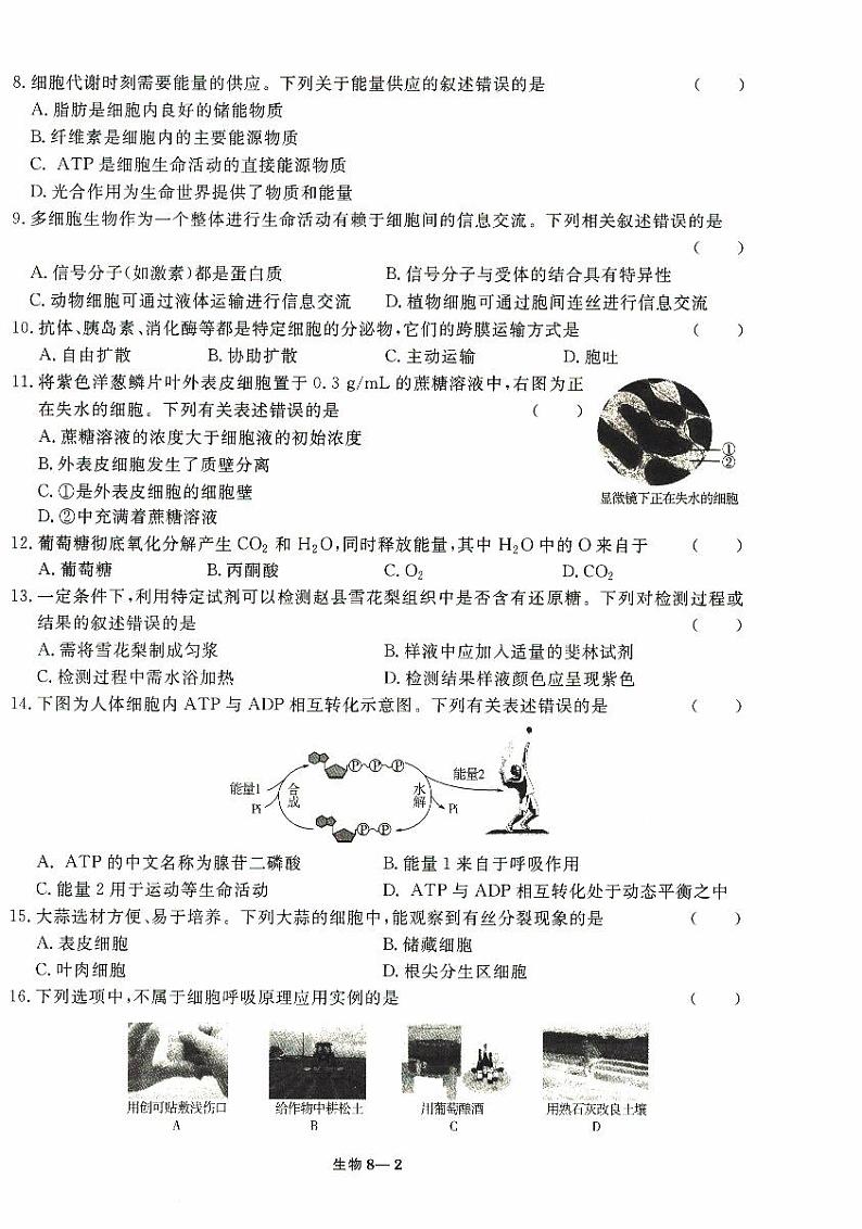 2023年5月河北省普通高中学业水平合格性考试生物试题第2页