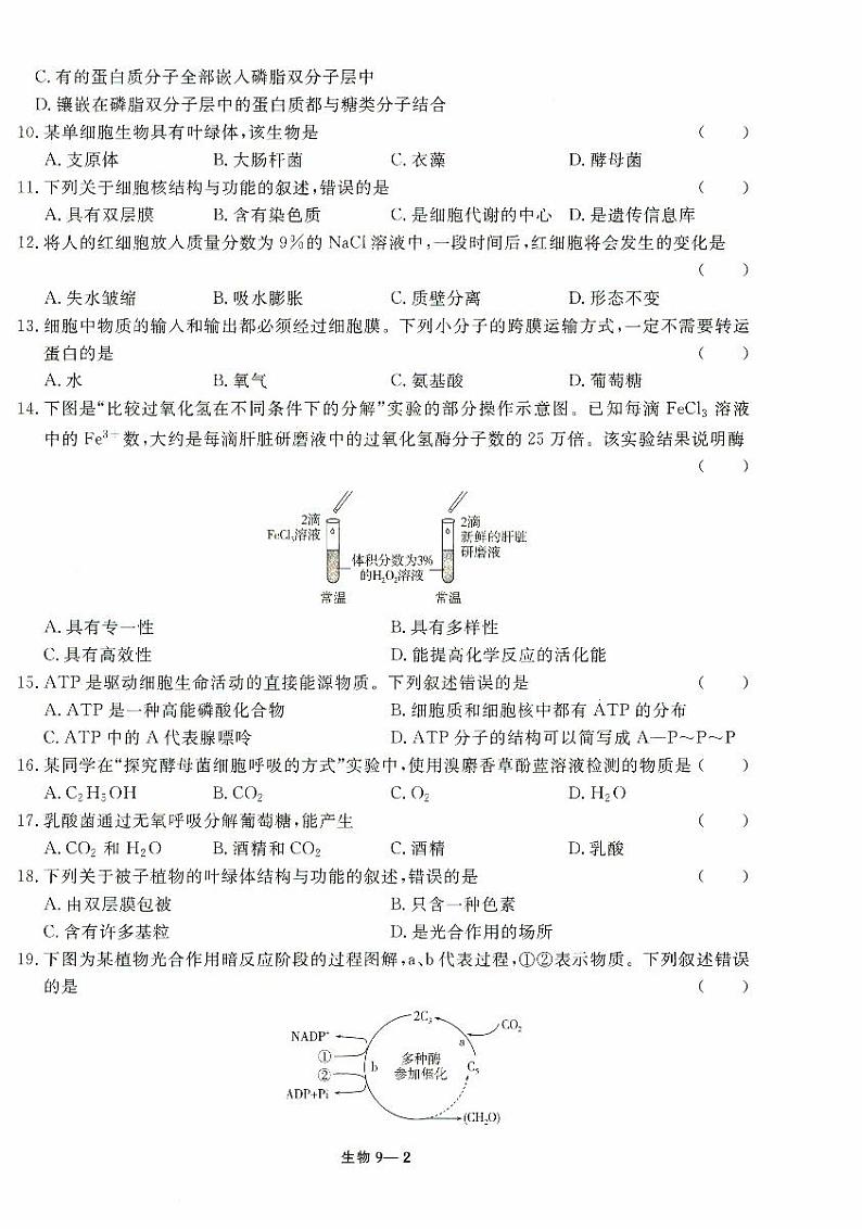 2024年5月河北省普通高中学业水平合格性生物考试试卷第2页
