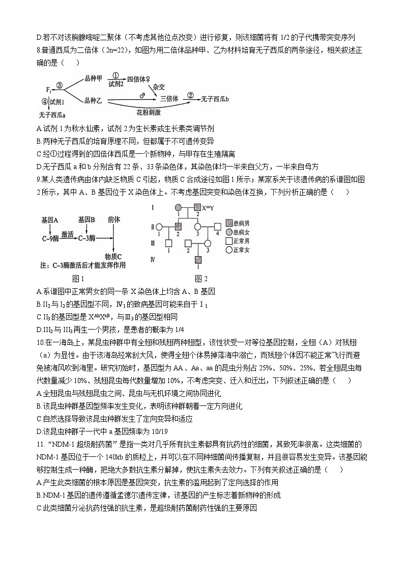 四川省百师联盟2024-2025学年高三上学期11月期中生物试题第3页