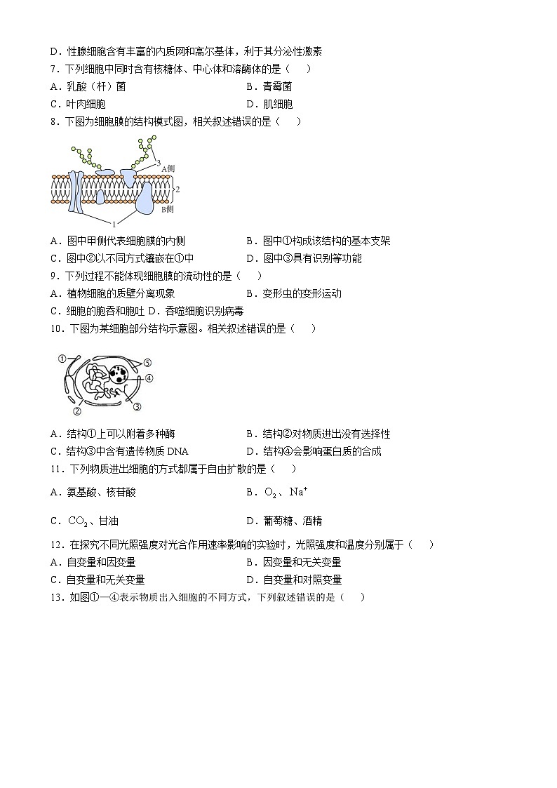 江苏省如皋中学2024-2025学年高一上学期综合练习二（期中模拟）生物试题第2页