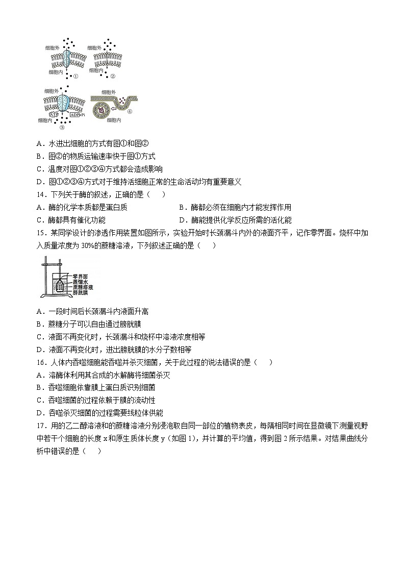 江苏省如皋中学2024-2025学年高一上学期综合练习二（期中模拟）生物试题第3页
