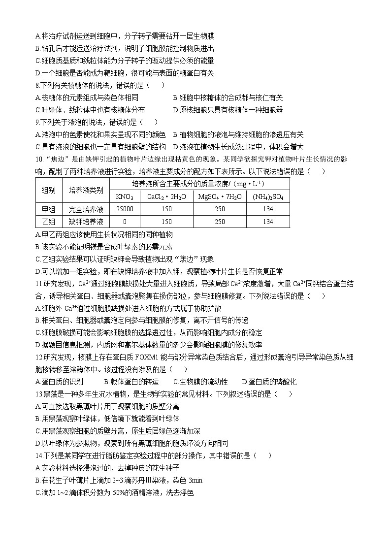 江苏省南通市如东通州区2024-2025学年高一上学期期中生物试题第2页
