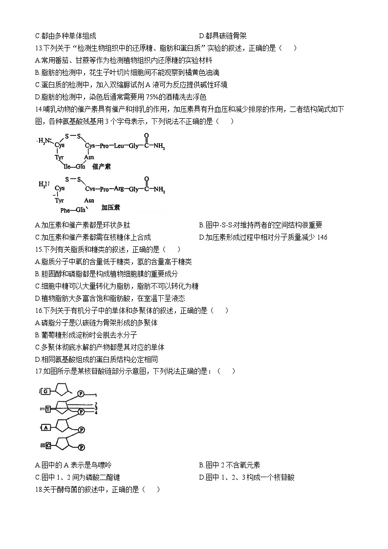 江苏省南通市海门中学2024-2025学年高一上学期期中考试生物试题第2页
