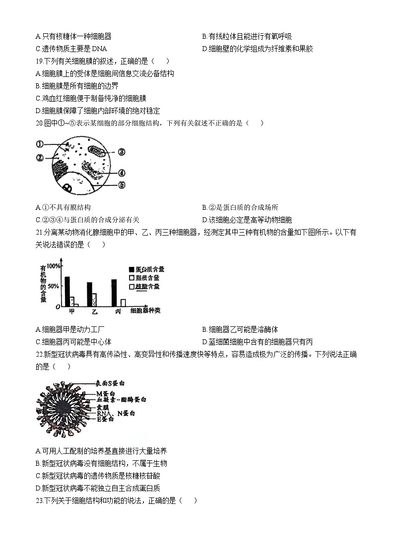 江苏省南通市海门中学2024-2025学年高一上学期期中考试生物试题第3页