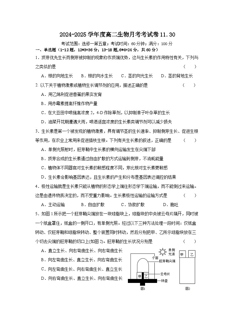 福建省泉州市鲤城区泉州第一中学2024-2025学年高二上学期11月月考生物试题第1页