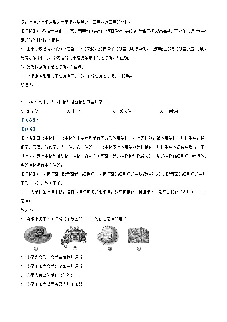 浙江省2023_2024学年高一生物上学期期中试题含解析第3页