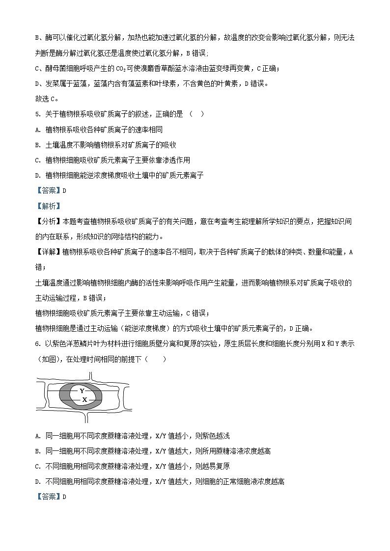 安徽省安庆市2023_2024学年高一生物上学期10月月考试题含解析第3页