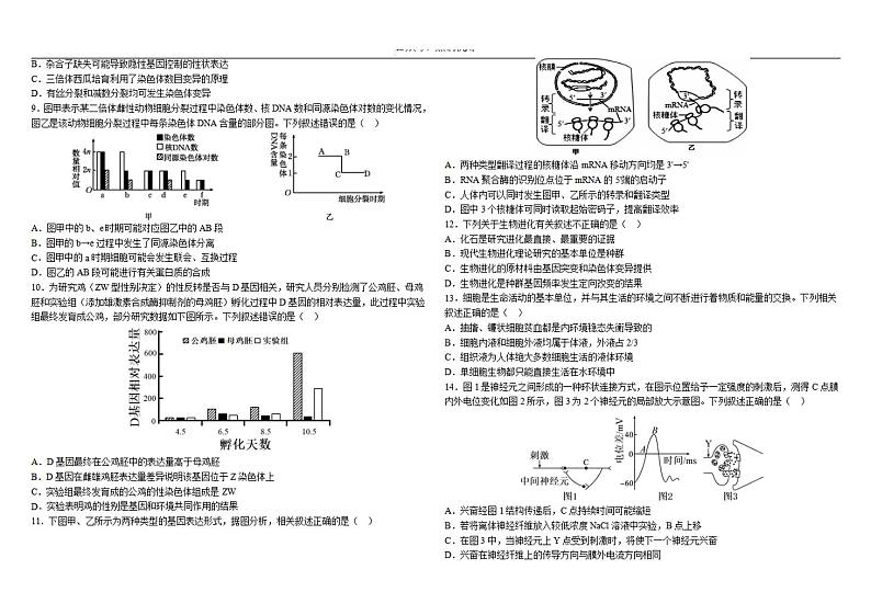 哈师大附中2024-2025学年度高三（上）期中生物试卷＋答案第2页