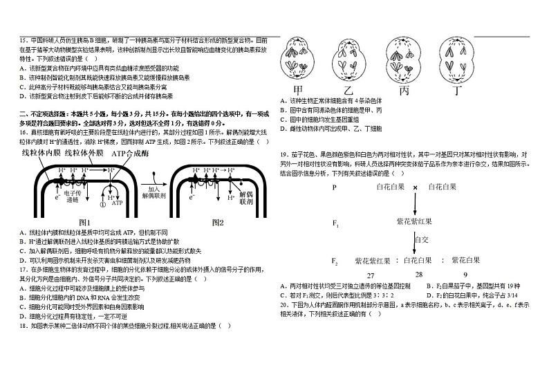 哈师大附中2024-2025学年度高三（上）期中生物试卷＋答案第3页