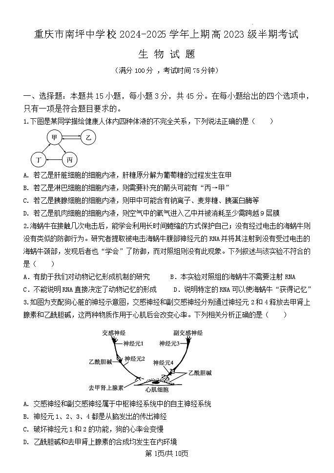 重庆市南坪中学2024-2025学年高二上学期期中生物试题第1页