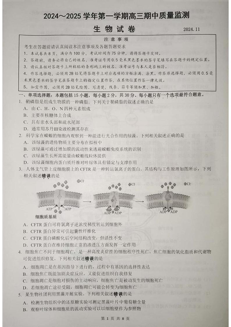 江苏省镇江市2024-2025学年高三上学期11月期中考试生物试卷第1页