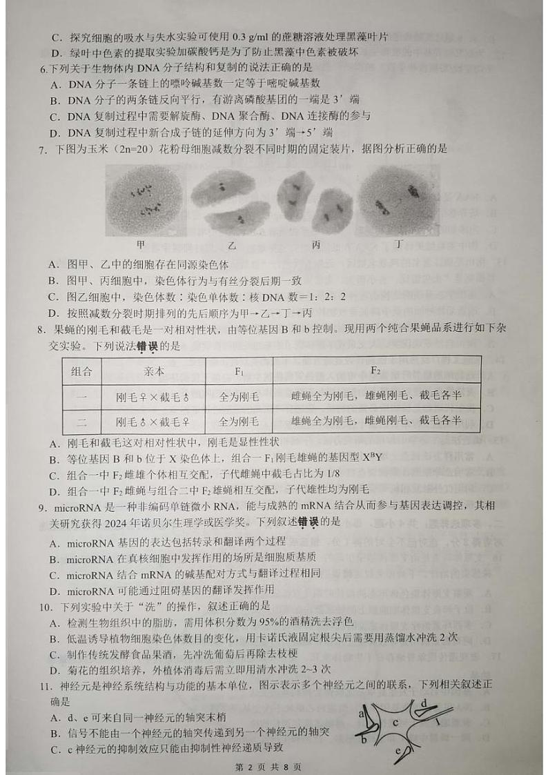 江苏省镇江市2024-2025学年高三上学期11月期中考试生物试卷第2页