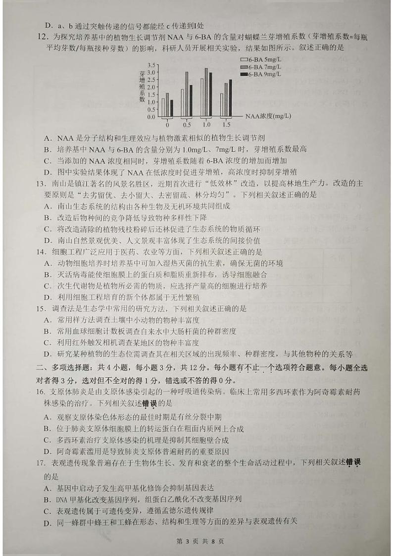 江苏省镇江市2024-2025学年高三上学期11月期中考试生物试卷第3页
