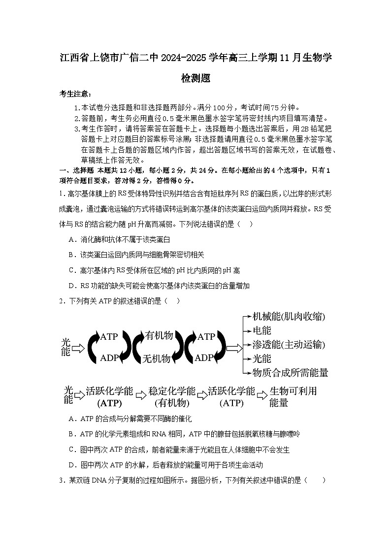 江西省上饶市广信二中2024-2025学年高三上学期11月生物学检测题第1页
