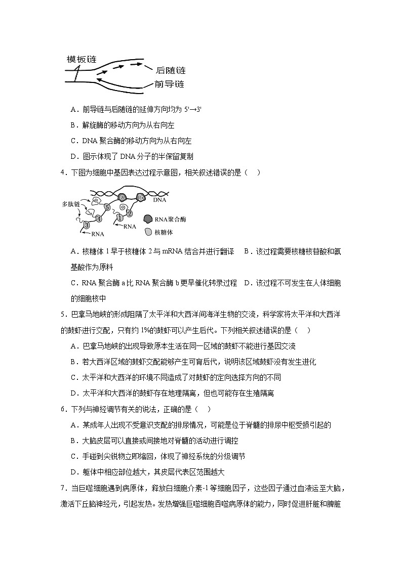 江西省上饶市广信二中2024-2025学年高三上学期11月生物学检测题第2页