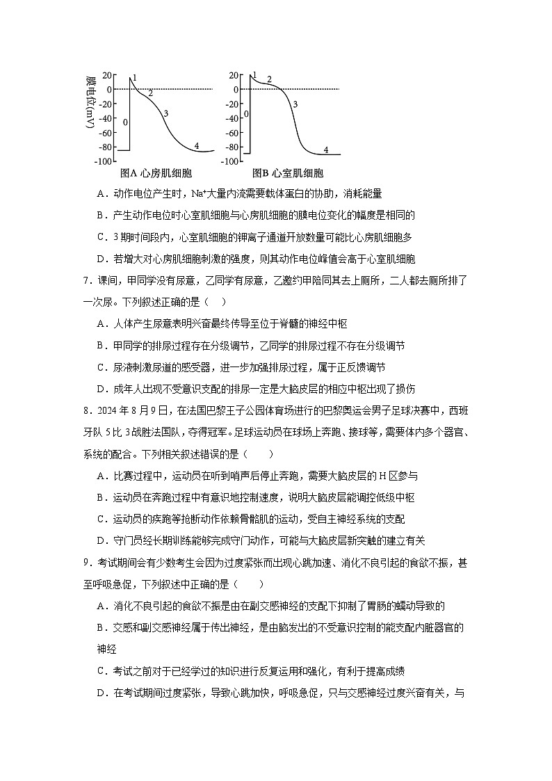 江西省上饶市广信二中2024-2025学年高二上学期11月生物学检测题第3页