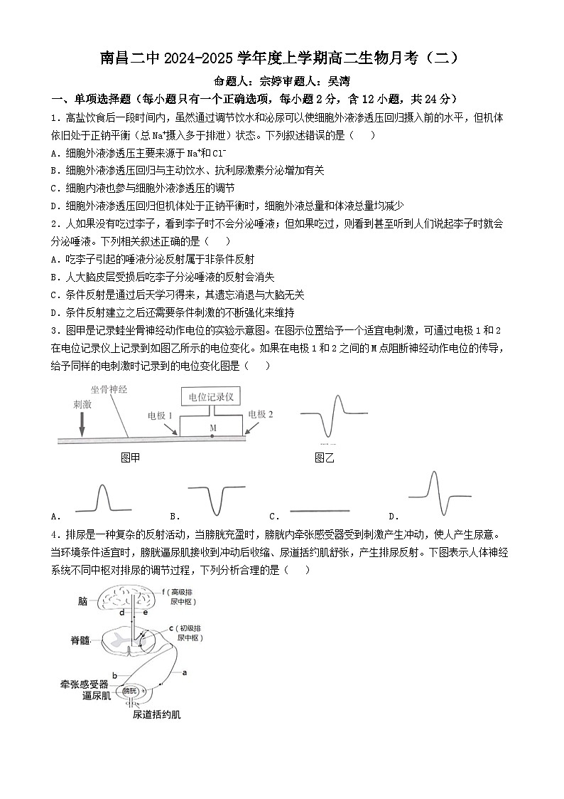 江西省南昌市东湖区南昌市第二中学2024-2025学年高二上学期11月月考生物试题第1页