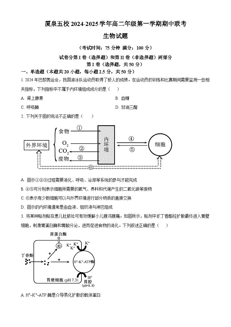 福建省厦泉五校2024-2025学年高二上学期11月期中联考生物试题（原卷版）第1页