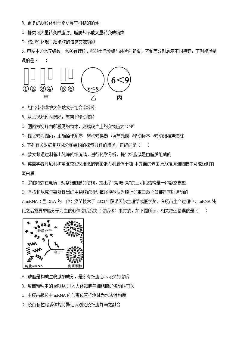 福建省泉州市鲤城区泉州第五中学2024-2025学年高一上学期11月期中考试生物试题（原卷版）第2页