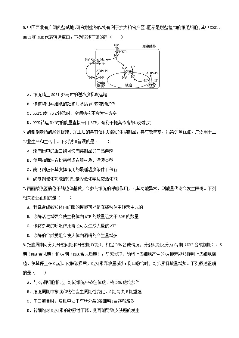 安徽省合肥市普通高中六校联盟2025届高三上学期期中联考生物第2页