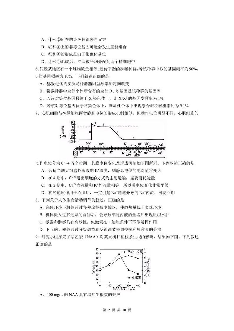 生物试卷第2页