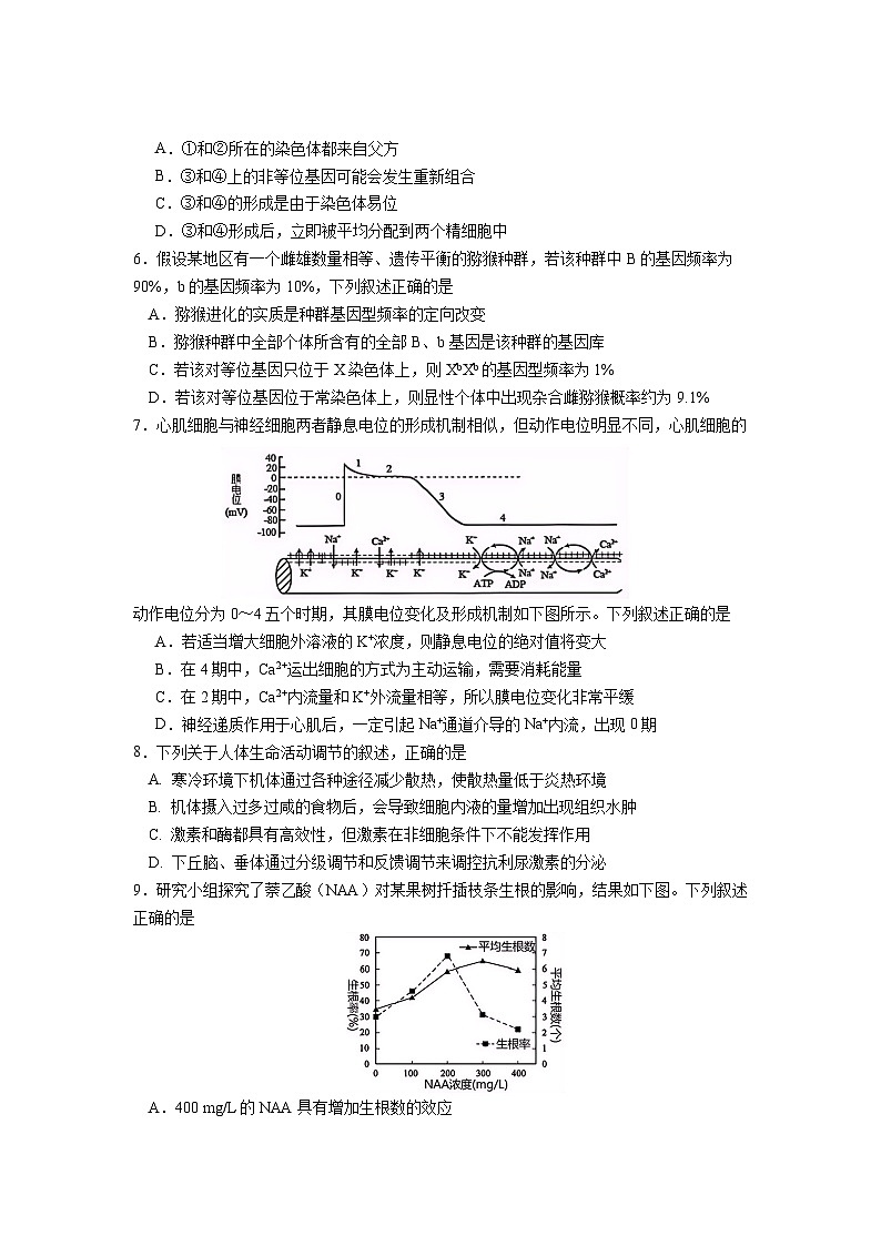 生物试卷第2页