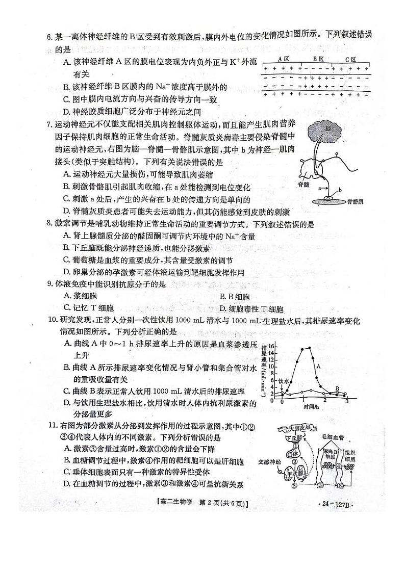 河北省邢台市2023_2024学年高二生物上学期11月份期中试题pdf第2页