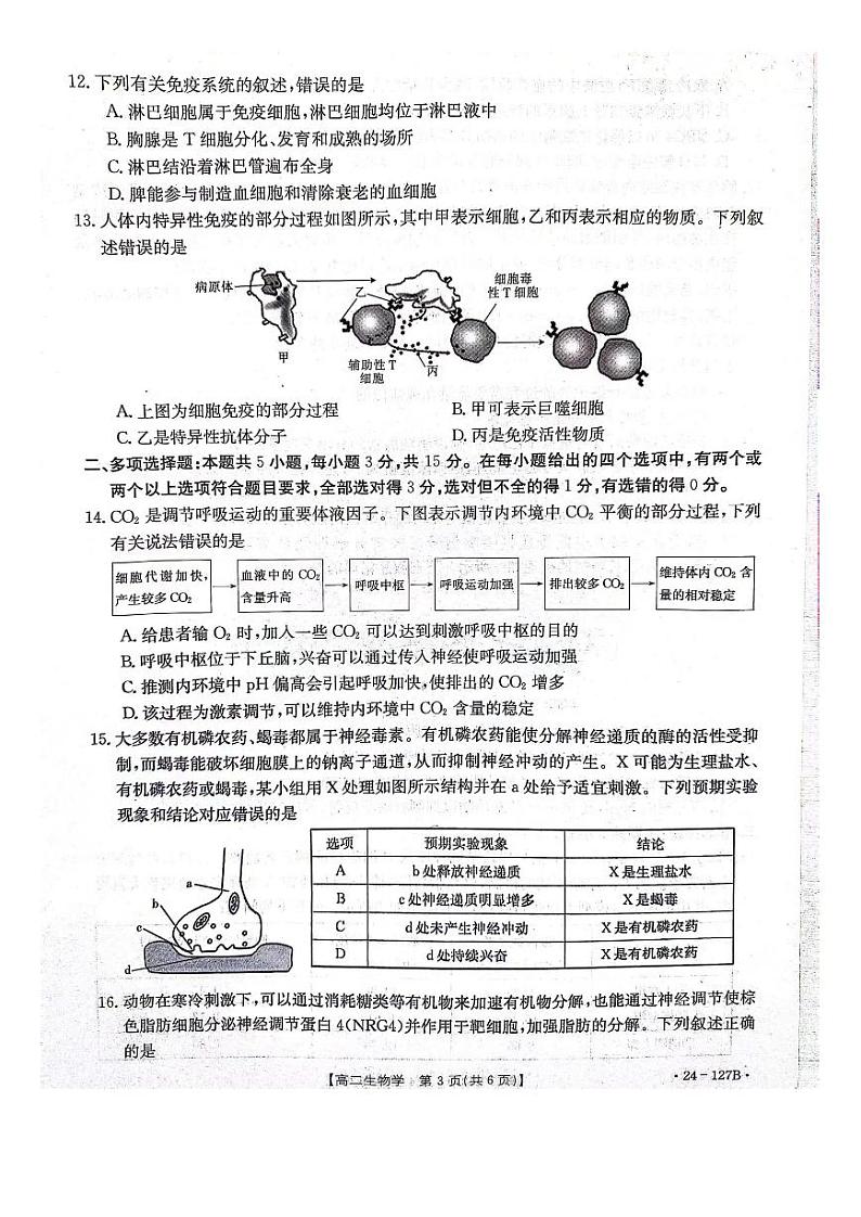 河北省邢台市2023_2024学年高二生物上学期11月份期中试题pdf第3页