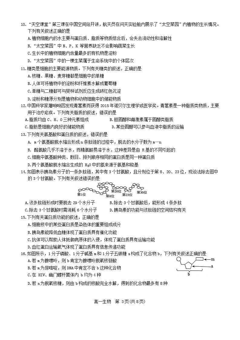 河北省张家口市2023_2024学年高一生物上学期期中试题无答案第3页