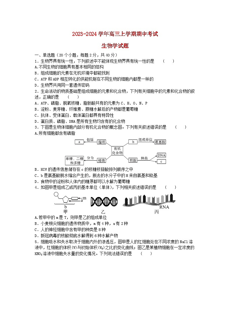 湖北省宜城市2023_2024学年高三生物上学期期中联考试题第1页