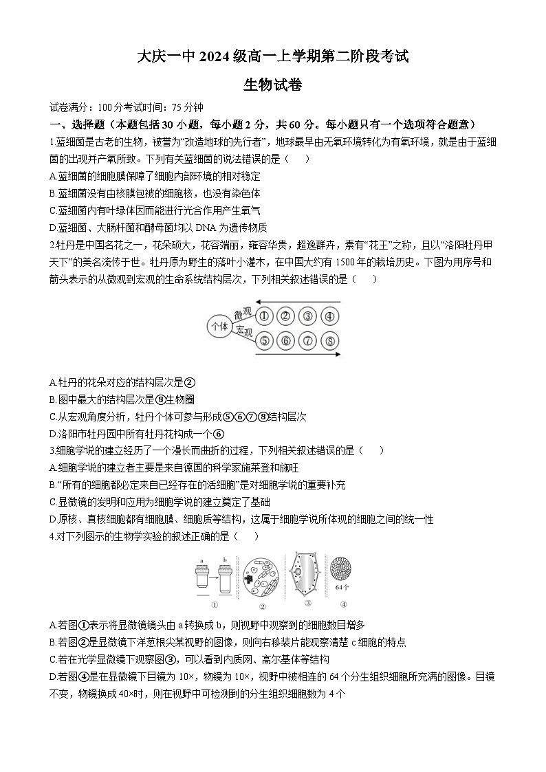 黑龙江省大庆市第一中学2024-2025学年高一上学期期中生物试卷(无答案)第1页