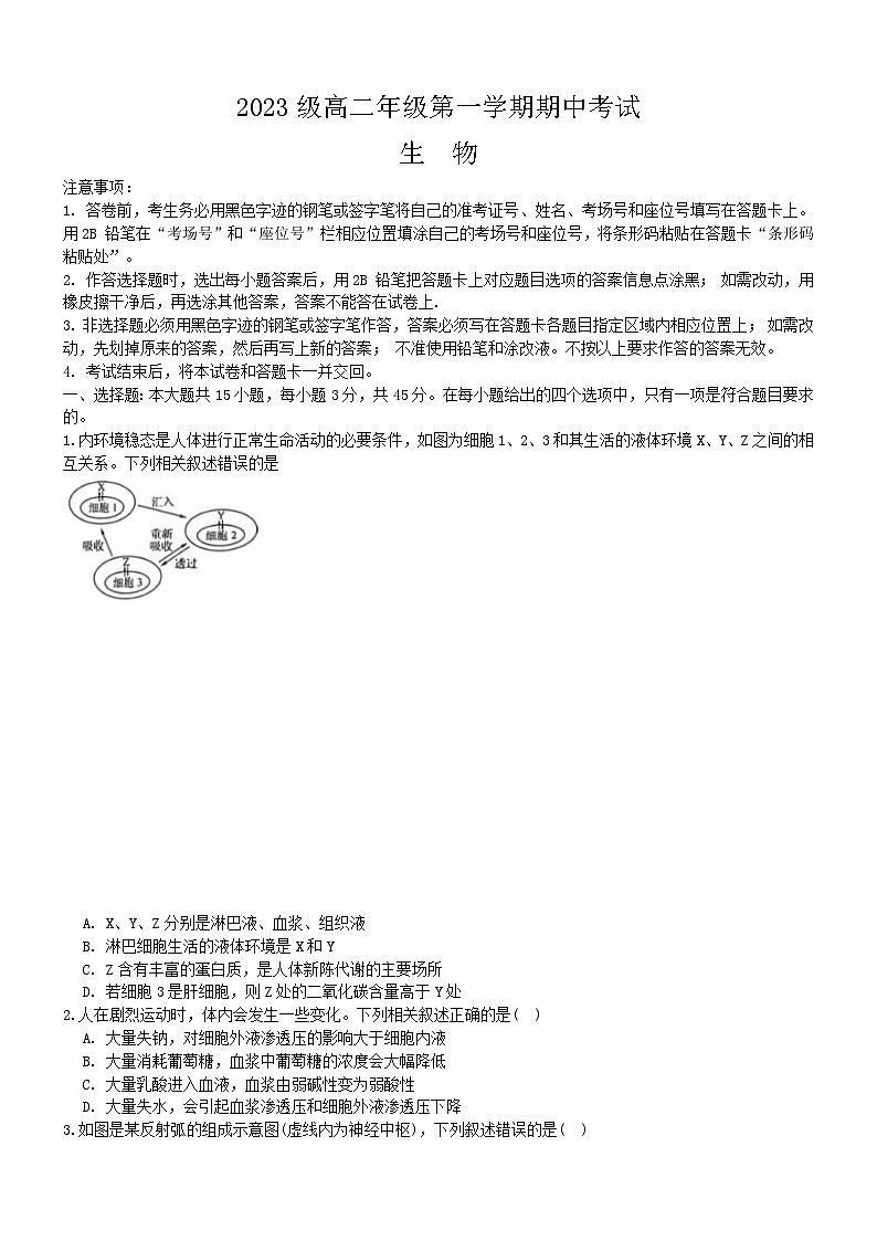 海南省海口市美兰区海口实验中学2024-2025学年高二上学期11月期中生物试题第1页