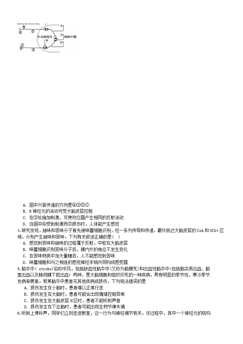 海南省海口市美兰区海口实验中学2024-2025学年高二上学期11月期中生物试题第2页