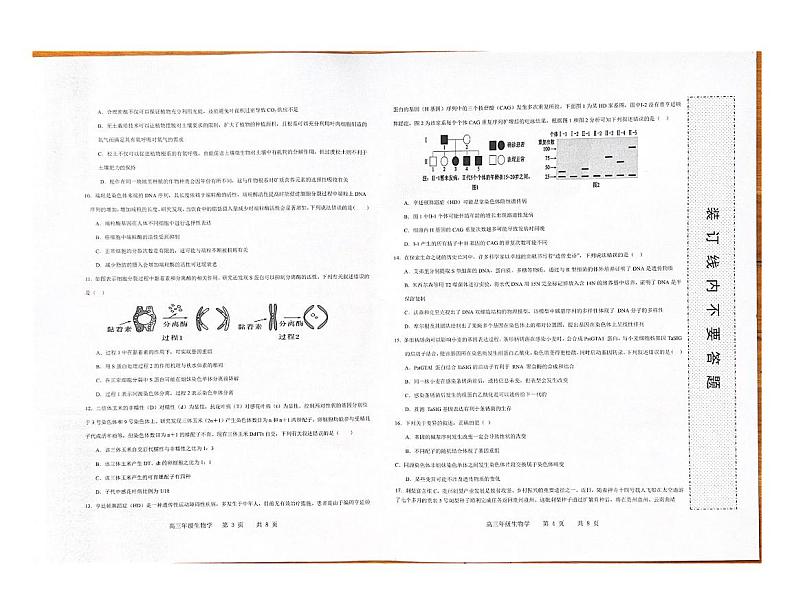 墨玉县2024-2025学年第一学期高三生物高考适应性检测11月月考第2页