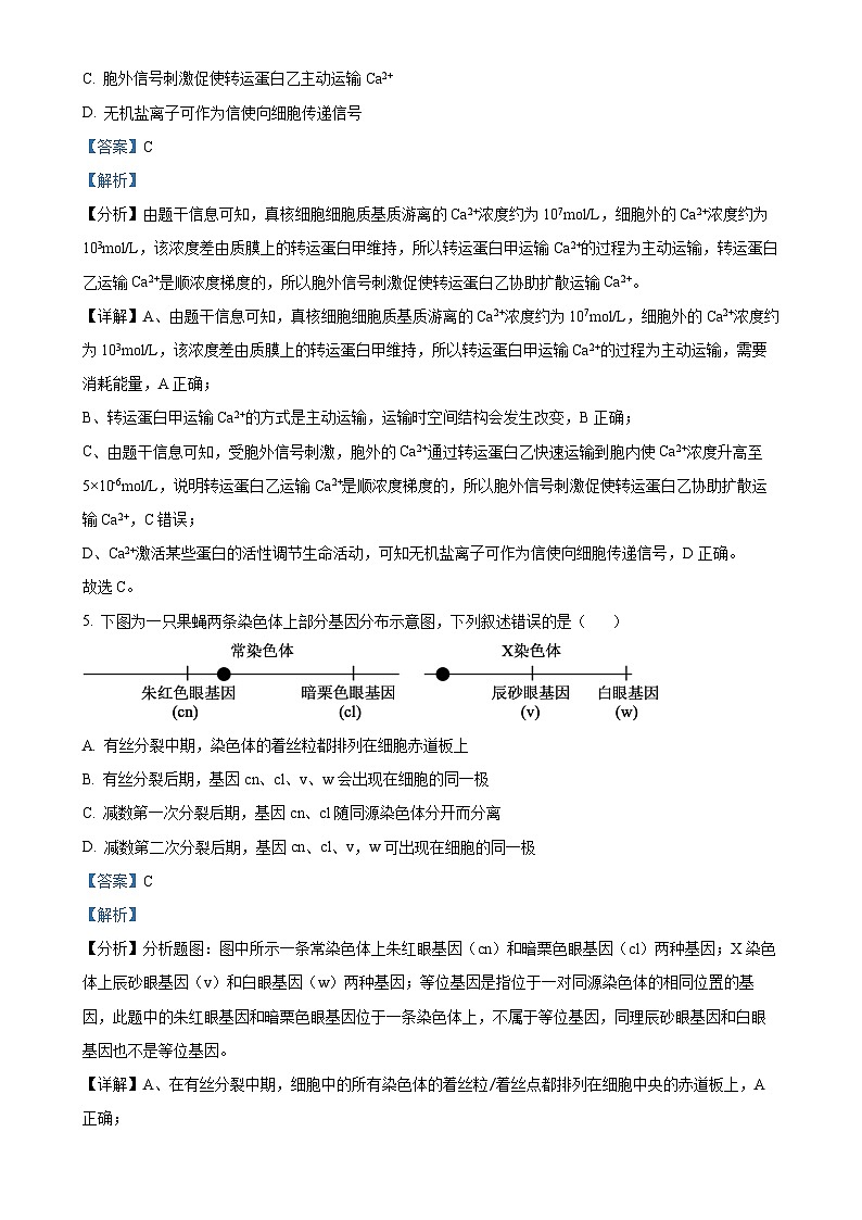 精品解析：广东省华南师范大学附属中学2024-2025学年高三上学期11月综合测试（二）生物试题（解析版）-A4第3页