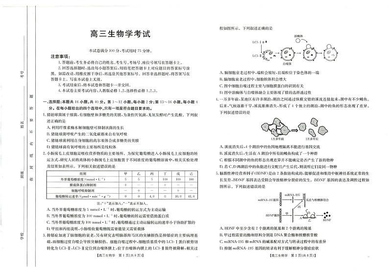 生物丨广西百校联考2025届高三上学期11月月考生物试卷及答案第1页